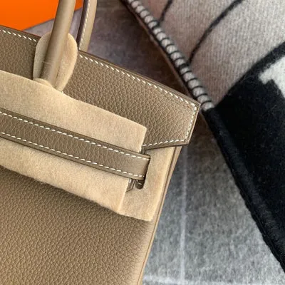 BIRKIN 25 EPSOM LEATHER ETOUPE PALLADIUM HARDWARE (PHW) - 3
