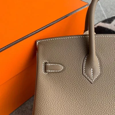 BIRKIN 25 EPSOM LEATHER ETOUPE PALLADIUM HARDWARE (PHW) - 6