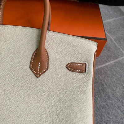 BIRKIN 25 TOGO LEATHER HORSESHOE STAMP (HSS) BI-COLOR CRAIE & GOLD WITH GOLD HARDWARE (GHW) - 5
