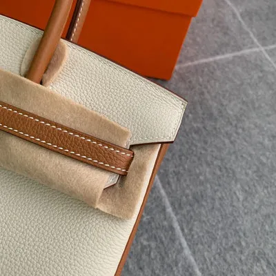 BIRKIN 25 TOGO LEATHER HORSESHOE STAMP (HSS) BI-COLOR CRAIE & GOLD WITH GOLD HARDWARE (GHW) - 4