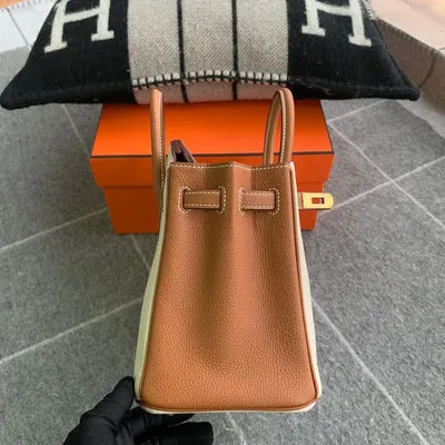 BIRKIN 25 TOGO LEATHER HORSESHOE STAMP (HSS) BI-COLOR CRAIE & GOLD WITH GOLD HARDWARE (GHW) - 3