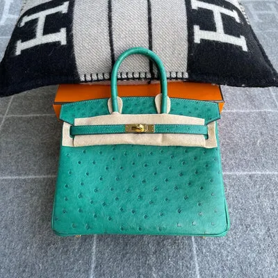 BIRKIN 25 OSTRICH LEATHER VERT VERTIGO WITH GOLD HARDWARE (GHW) - 1