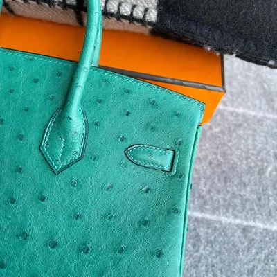 BIRKIN 25 OSTRICH LEATHER VERT VERTIGO WITH GOLD HARDWARE (GHW) - 5