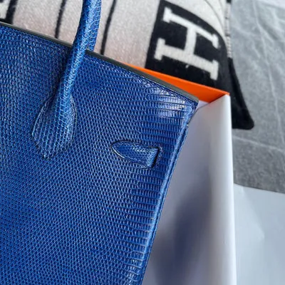 BIRKIN 25 LIZARD LEATHER 7T BLUE ELECTRIC WITH PALLADIUM HARDWARE (PHW) - 5