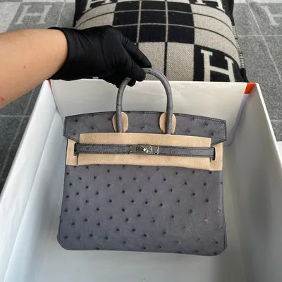 BIRKIN 25 OSTRICH LEATHER GRIS AGATE WITH PALLADIUM HARDWARE (PHW) - 1