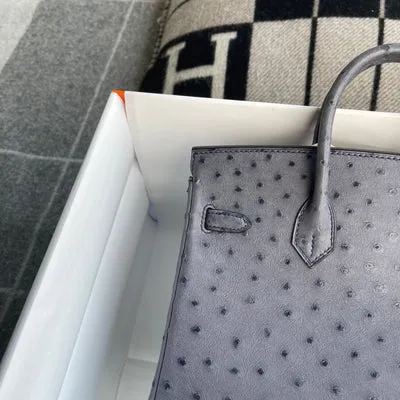 BIRKIN 25 OSTRICH LEATHER GRIS AGATE WITH PALLADIUM HARDWARE (PHW) - 6