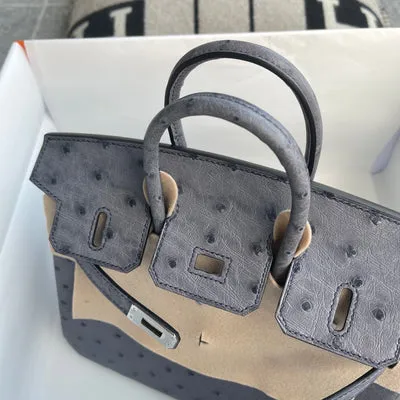 BIRKIN 25 OSTRICH LEATHER GRIS AGATE WITH PALLADIUM HARDWARE (PHW) - 5
