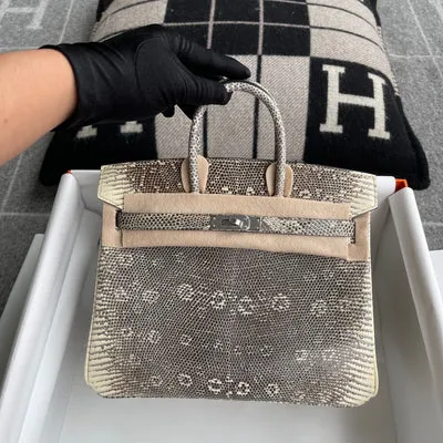 BIRKIN 25 LIZARD LEATHER OMBRE WITH PALLADIUM HARDWARE (PHW) - 3