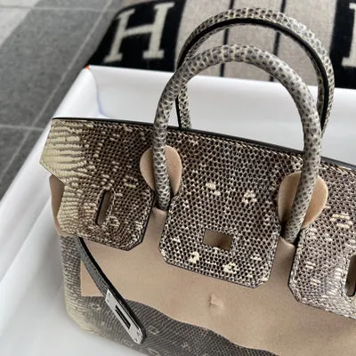 BIRKIN 25 LIZARD LEATHER OMBRE WITH PALLADIUM HARDWARE (PHW) - 6