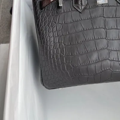 BIRKIN 25 MATTE MISSISSIPPIENSIS ALLIGATOR LEATHER GRAPHITE WITH PALLADIUM HARDWARE (PHW) - 8