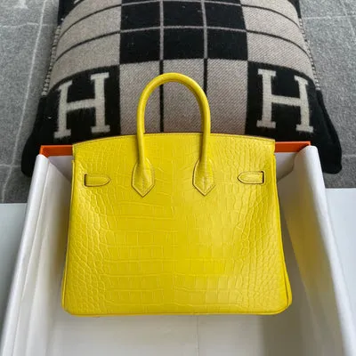 BIRKIN 25 MATTE MISSISSIPPIENSIS ALLIGATOR LEATHER MIMOSA WITH GOLD HARDWARE (GHW) - 2