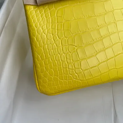 BIRKIN 25 MATTE MISSISSIPPIENSIS ALLIGATOR LEATHER MIMOSA WITH GOLD HARDWARE (GHW) - 6
