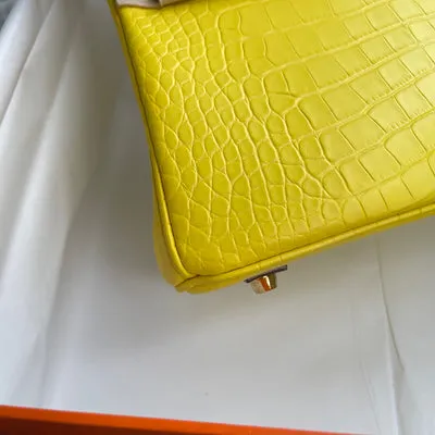 BIRKIN 25 MATTE MISSISSIPPIENSIS ALLIGATOR LEATHER MIMOSA WITH GOLD HARDWARE (GHW) - 7