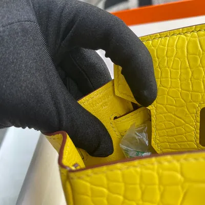 BIRKIN 25 MATTE MISSISSIPPIENSIS ALLIGATOR LEATHER MIMOSA WITH GOLD HARDWARE (GHW) - 5