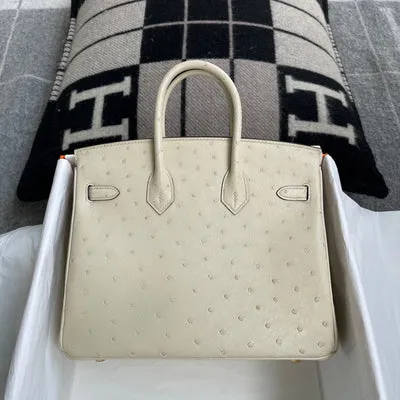 BIRKIN 25 OSTRICH LEATHER PARCHEMIN WITH GOLD HARDWARE (GHW) - 2