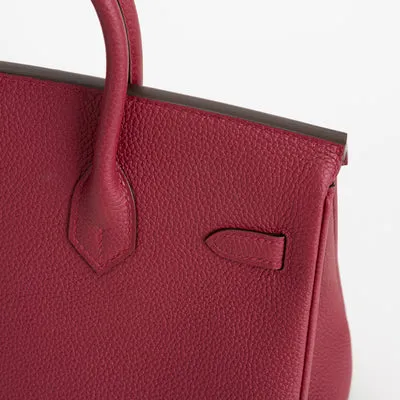 BIRKIN 25 TOGO LEATHER ROUGE GRENAT WITH PALLADIUM HARDWARE (PHW) - 6