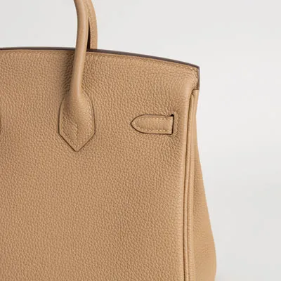 BIRKIN 25 TOGO LEATHER CHAI WITH GOLD HARDWARE (GHW) - 6