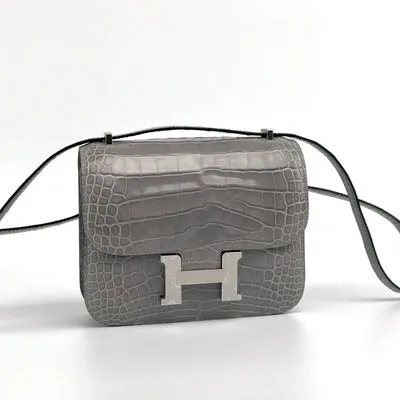 CONSTANCE 18 (MINI) SHINY MISSISSIPPIENSIS ALLIGATOR LEATHER GRIS TOURTERELLE WITH PALLADIUM HARDWARE (PHW) - 2