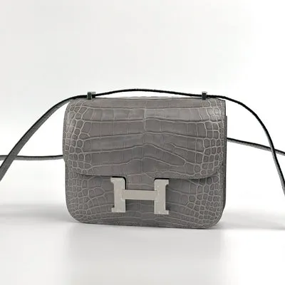 CONSTANCE 18 (MINI) SHINY MISSISSIPPIENSIS ALLIGATOR LEATHER GRIS TOURTERELLE WITH PALLADIUM HARDWARE (PHW) - 3