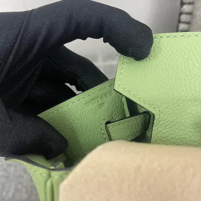 BIRKIN 25 EVERCOLOR LEATHER VERT CRIQUET WITH GOLD HARDWARE (GHW) - 7
