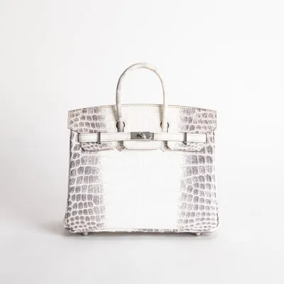 BIRKIN 25 NILOTICUS CROCODILE (MATTE) LEATHER HIMALAYA WITH PALLADIUM HARDWARE (PHW) - 1