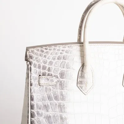 BIRKIN 25 NILOTICUS CROCODILE (MATTE) LEATHER HIMALAYA WITH PALLADIUM HARDWARE (PHW) - 3