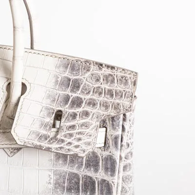 BIRKIN 25 NILOTICUS CROCODILE (MATTE) LEATHER HIMALAYA WITH PALLADIUM HARDWARE (PHW) - 5