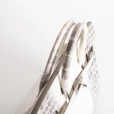 BIRKIN 25 NILOTICUS CROCODILE (MATTE) LEATHER HIMALAYA WITH PALLADIUM HARDWARE (PHW) - 4