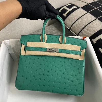 BIRKIN 25 OSTRICH LEATHER VERT VERTIGO WITH PALLADIUM HARDWARE (PHW) - 1