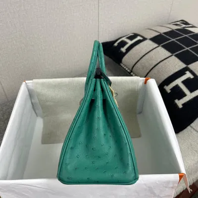 BIRKIN 25 OSTRICH LEATHER VERT VERTIGO WITH PALLADIUM HARDWARE (PHW) - 5