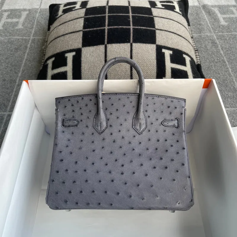 BIRKIN 25 OSTRICH LEATHER GRIS AGATE WITH PALLADIUM HARDWARE (PHW) - 2