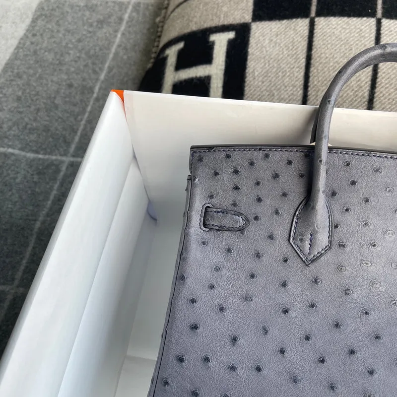 BIRKIN 25 OSTRICH LEATHER GRIS AGATE WITH PALLADIUM HARDWARE (PHW) - 6