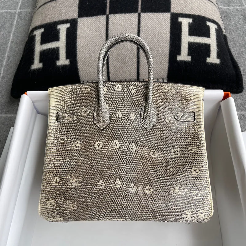 BIRKIN 25 LIZARD LEATHER OMBRE WITH PALLADIUM HARDWARE (PHW) - 2