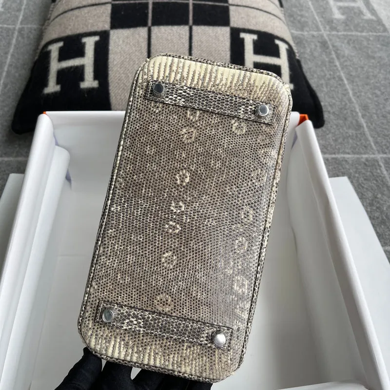 BIRKIN 25 LIZARD LEATHER OMBRE WITH PALLADIUM HARDWARE (PHW) - 10