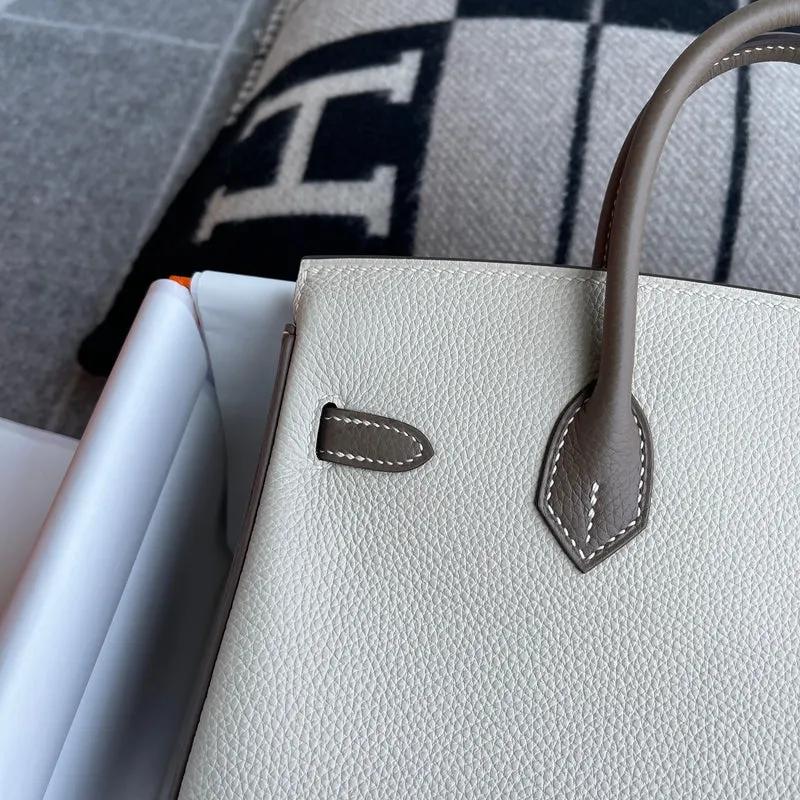 BIRKIN 25 TOGO LEATHER HORSESHOE STAMP (HSS) BI-COLOR CRAIE & ETAIN WITH BRUSHED GOLD HARDWARE (BGHW) - 6