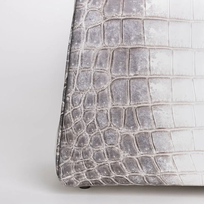 KELLY 32 NILOTICUS CROCODILE (MATTE) LEATHER HIMALAYA WITH PALLADIUM HARDWARE (PHW) - 5