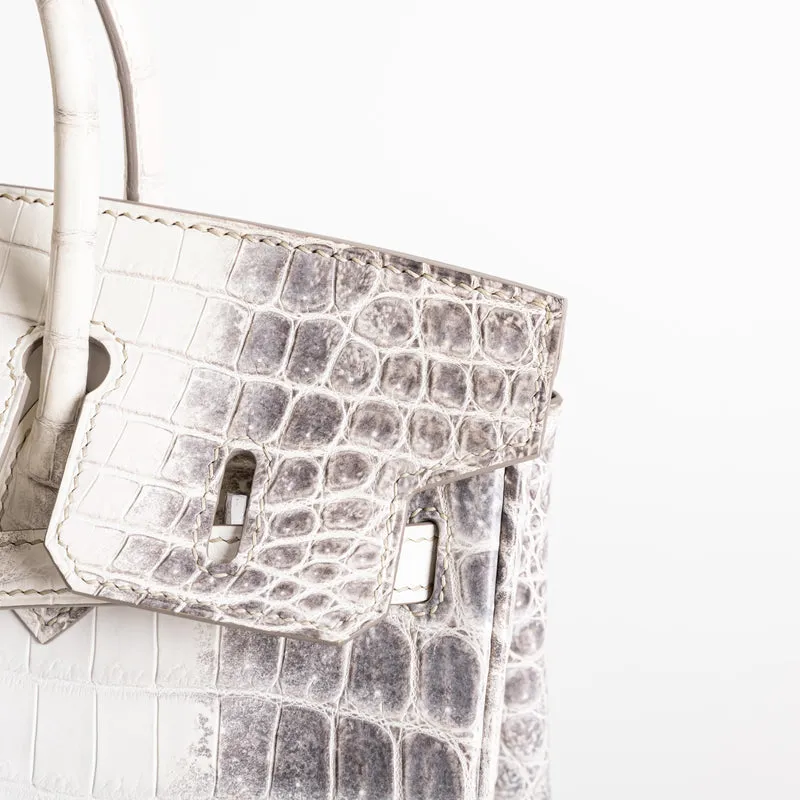 BIRKIN 25 NILOTICUS CROCODILE (MATTE) LEATHER HIMALAYA WITH PALLADIUM HARDWARE (PHW) - 5
