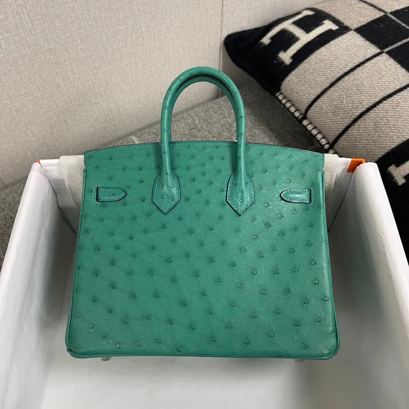 BIRKIN 25 OSTRICH LEATHER VERT VERTIGO WITH PALLADIUM HARDWARE (PHW) - 2