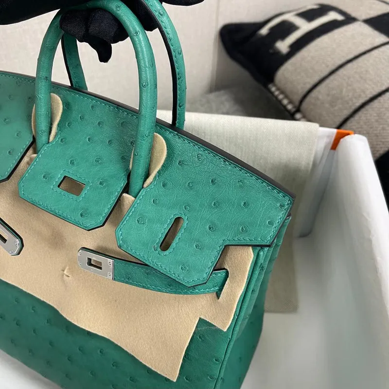 BIRKIN 25 OSTRICH LEATHER VERT VERTIGO WITH PALLADIUM HARDWARE (PHW) - 6